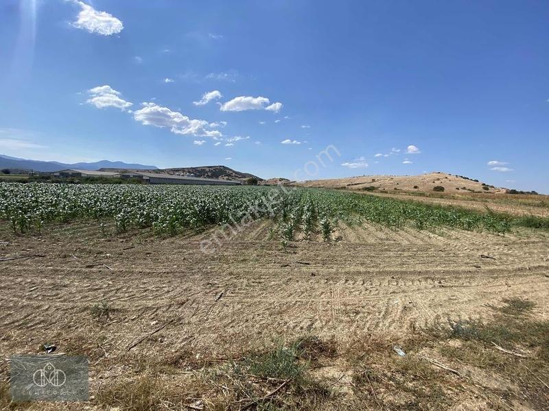 Tirede Kendi Elektriği Suyu Olan Satılık Tarla — fotoğraf 15