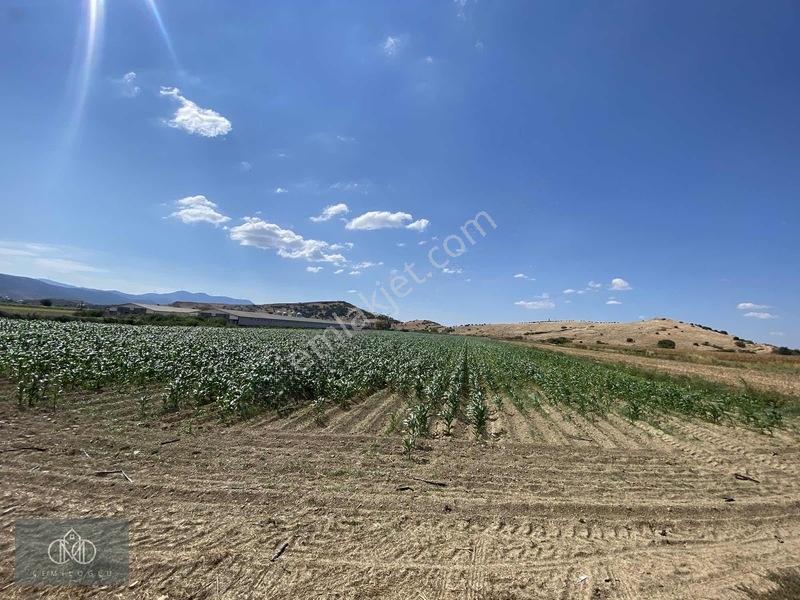 Tirede Kendi Elektriği Suyu Olan Satılık Tarla — fotoğraf 16