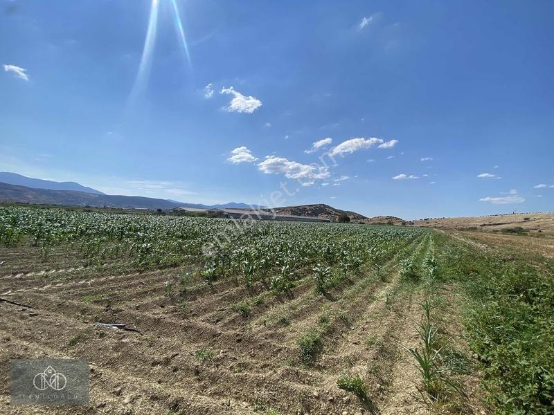 Tirede Kendi Elektriği Suyu Olan Satılık Tarla — fotoğraf 17