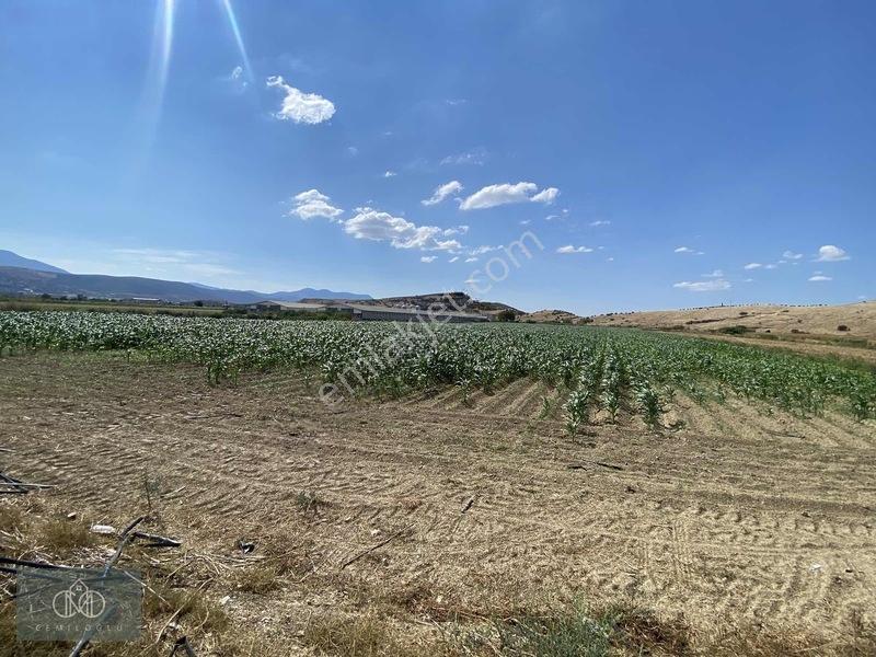 Tirede Kendi Elektriği Suyu Olan Satılık Tarla — fotoğraf 19