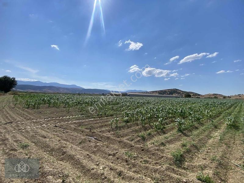 Tirede Kendi Elektriği Suyu Olan Satılık Tarla — fotoğraf 20
