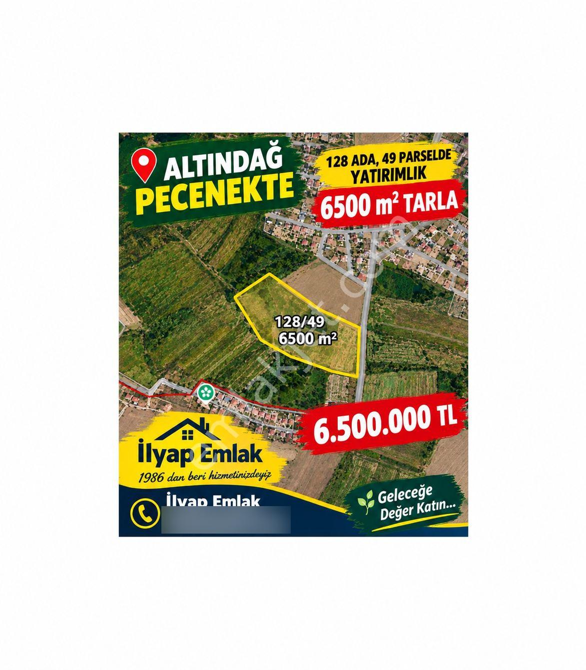 İlyap'tan Altındağ Peçenekte Yatırımlık 6500m2 Tarla — fotoğraf 8