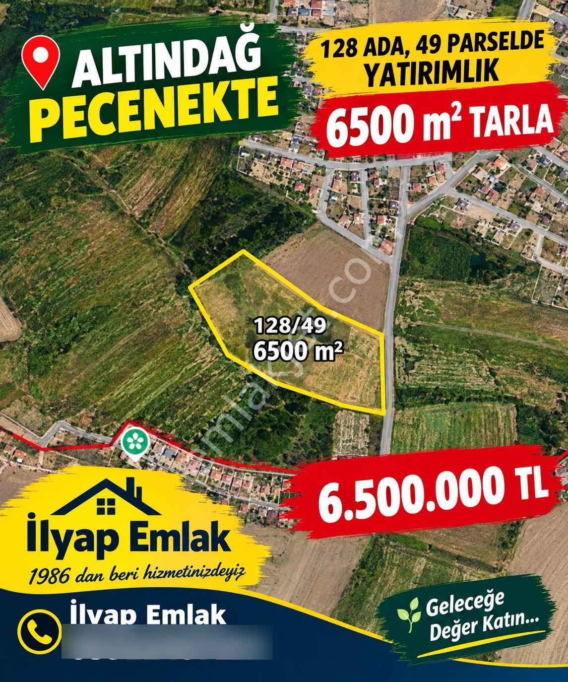 İlyap'tan Altındağ Peçenekte Yatırımlık 6500m2 Tarla — fotoğraf 9