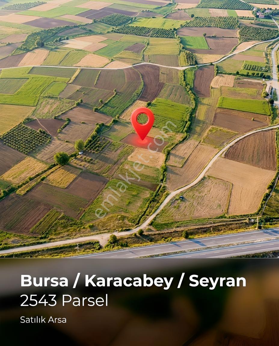 Remax Area Dan Seyran Da Köye Yakın Satılık 3150 M2 Fırsat Tarla — fotoğraf 3
