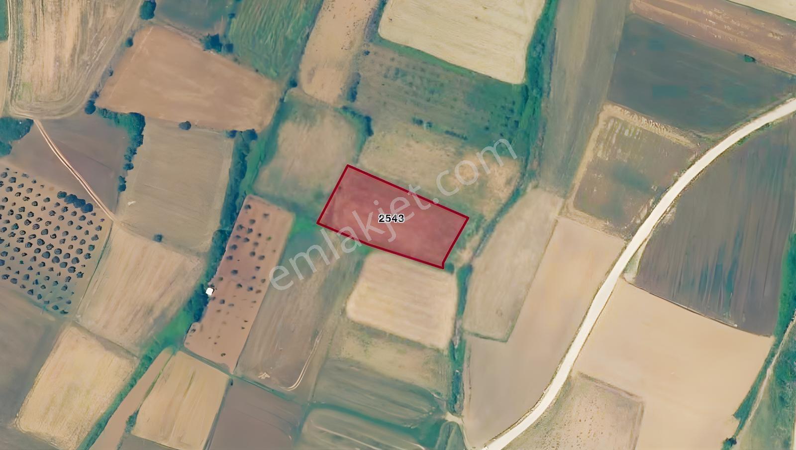 Remax Area Dan Seyran Da Köye Yakın Satılık 3150 M2 Fırsat Tarla — fotoğraf 7