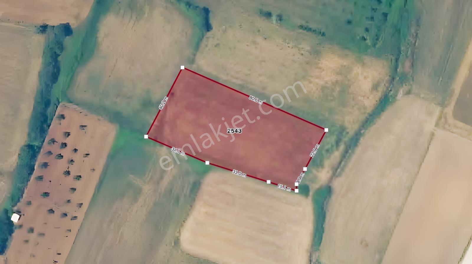 Remax Area Dan Seyran Da Köye Yakın Satılık 3150 M2 Fırsat Tarla — fotoğraf 10