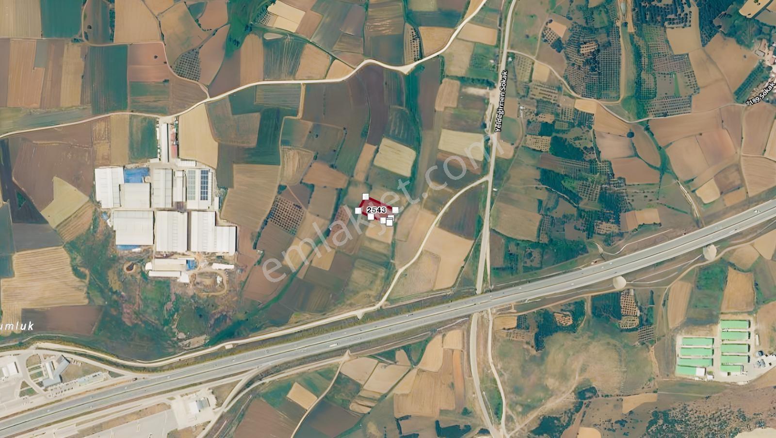 Remax Area Dan Seyran Da Köye Yakın Satılık 3150 M2 Fırsat Tarla — fotoğraf 11