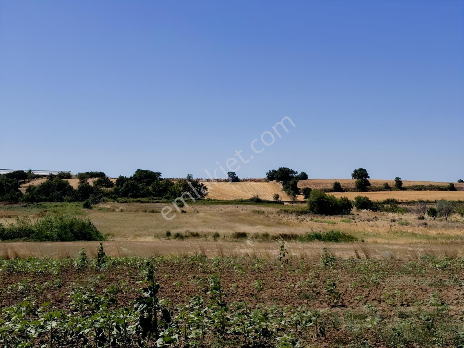 Remax Area Dan Seyran Da Köye Yakın Satılık 3150 M2 Fırsat Tarla — fotoğraf 16