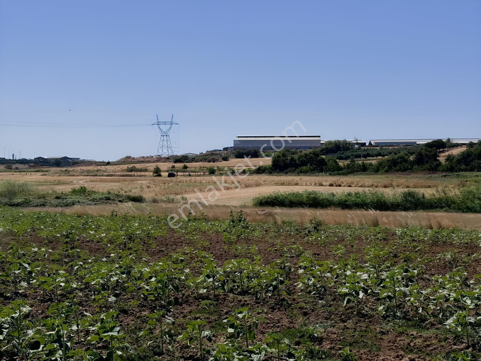 Remax Area Dan Seyran Da Köye Yakın Satılık 3150 M2 Fırsat Tarla — fotoğraf 17