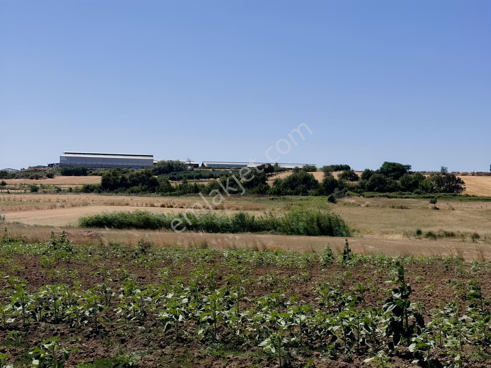 Remax Area Dan Seyran Da Köye Yakın Satılık 3150 M2 Fırsat Tarla — fotoğraf 18
