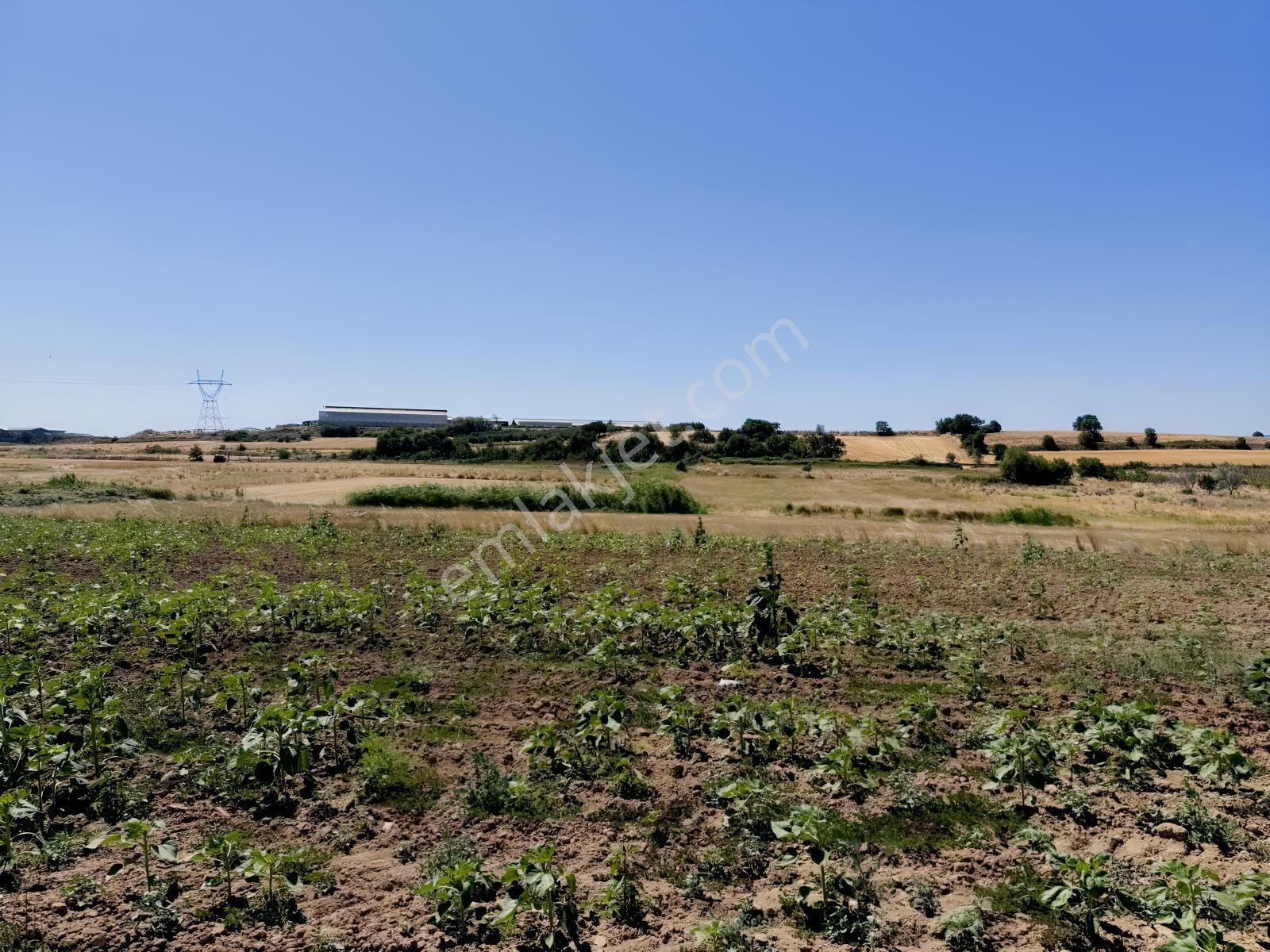 Remax Area Dan Seyran Da Köye Yakın Satılık 3150 M2 Fırsat Tarla — fotoğraf 19