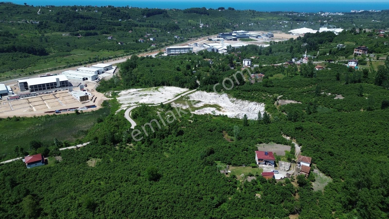 Revizyon'dan Organize Sanayi Yakını Yatırıma Uygun Arazi!! — fotoğraf 8