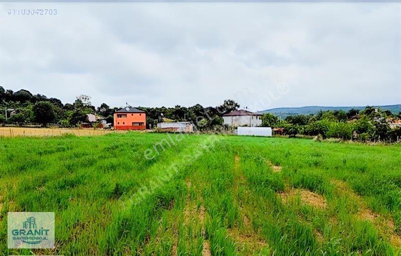 Sakarya Kaynarca Köy İçi Arsa Konumunda Tarla — fotoğraf 2