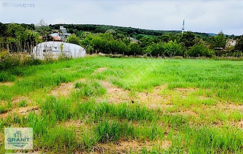 Sakarya Kaynarca Köy İçi Arsa Konumunda Tarla — fotoğraf 5
