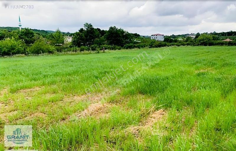 Sakarya Kaynarca Köy İçi Arsa Konumunda Tarla — fotoğraf 7