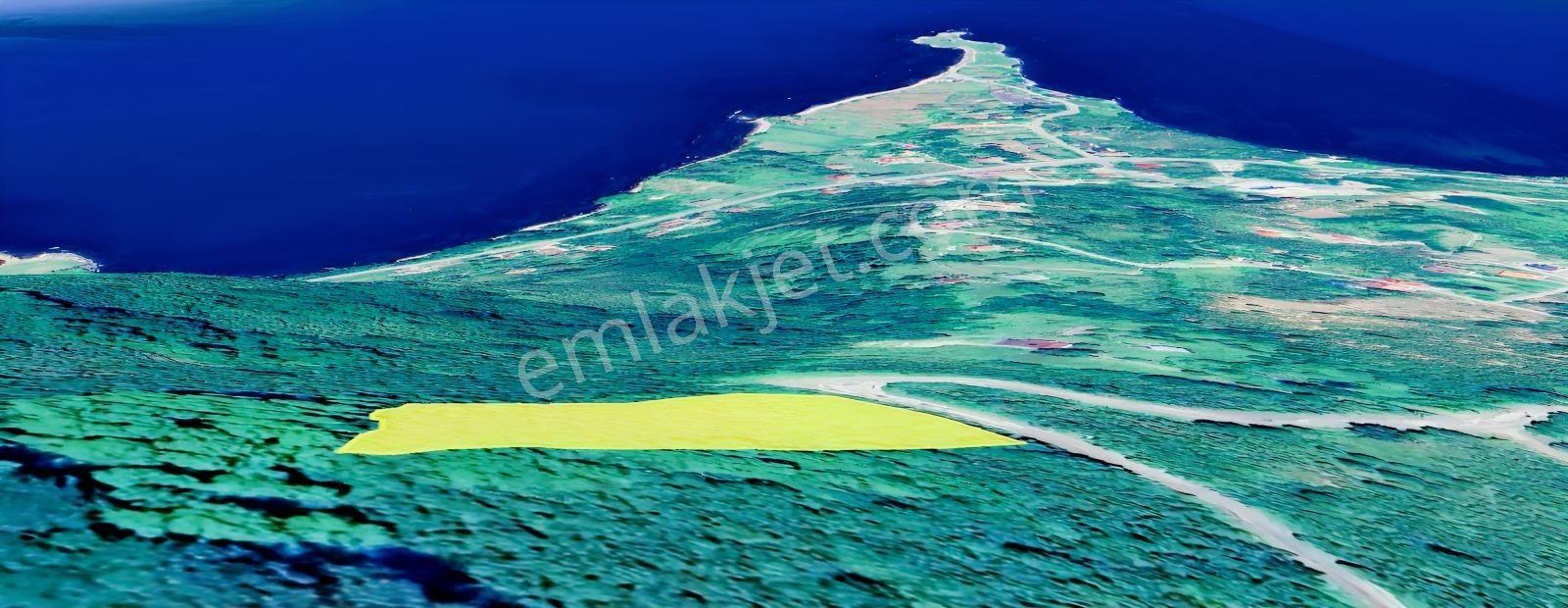 Perşembe Çaytepe'de Deniz Ve Yason Burnu Manzaralı Satılık Arsa — fotoğraf 2