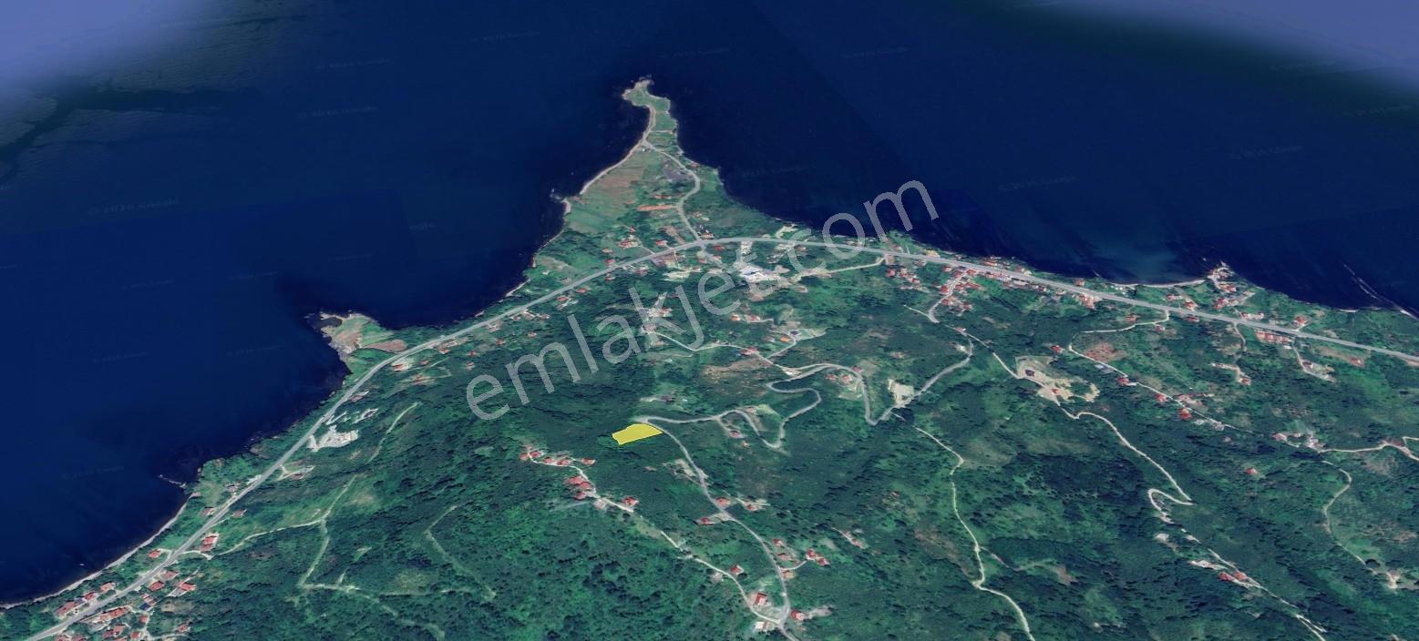Perşembe Çaytepe'de Deniz Ve Yason Burnu Manzaralı Satılık Arsa — fotoğraf 6