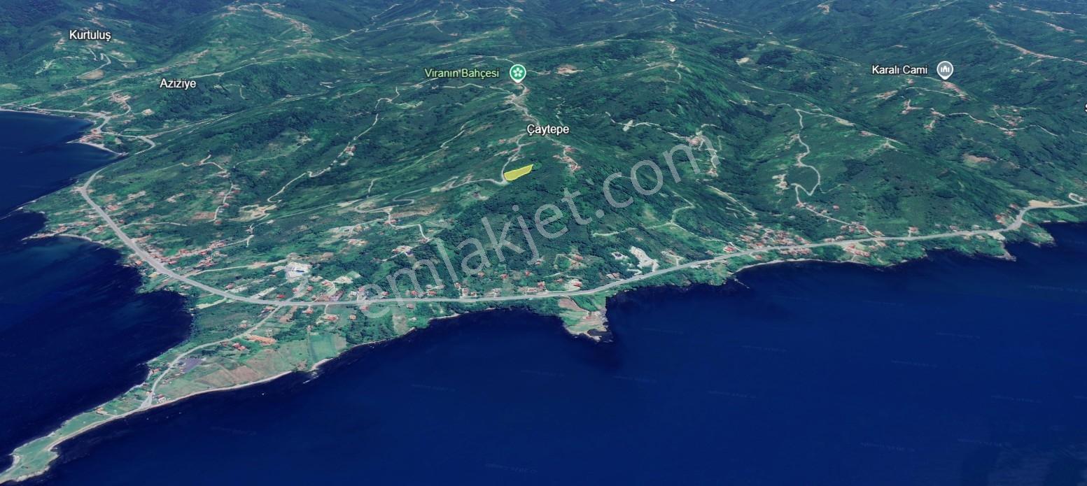 Perşembe Çaytepe'de Deniz Ve Yason Burnu Manzaralı Satılık Arsa — fotoğraf 7