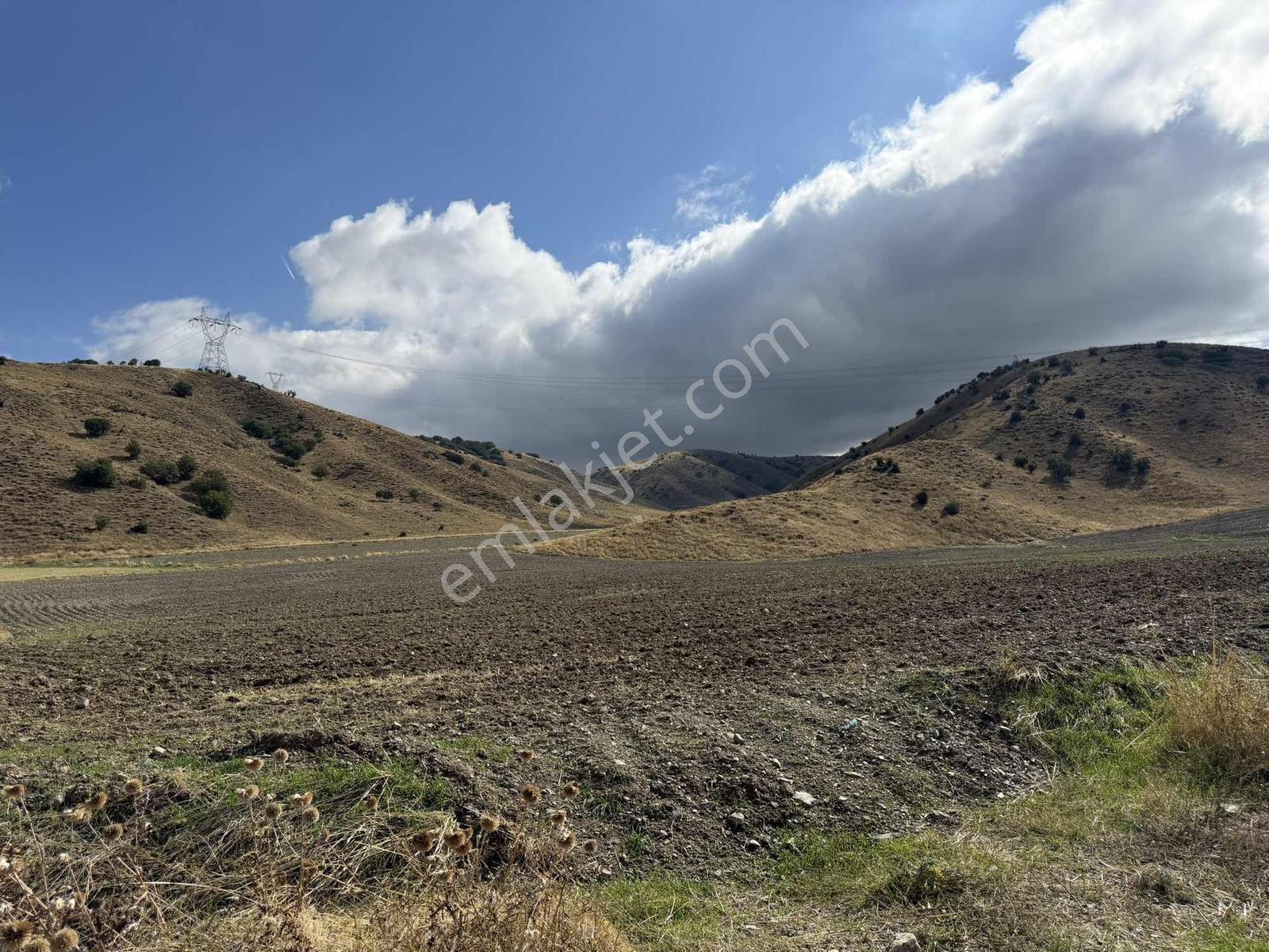 /lider'den/kızık Mah 459 M2 Hisseli Tarla Kadastro Yolu Mevcut — fotoğraf 29