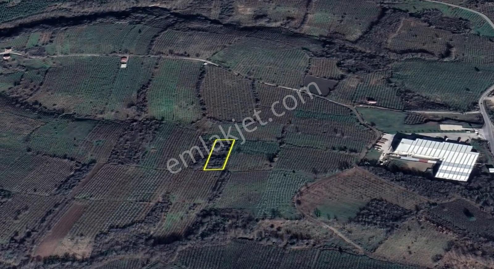 İkramiye De Yatırımlık Tarla 2 — fotoğraf 2