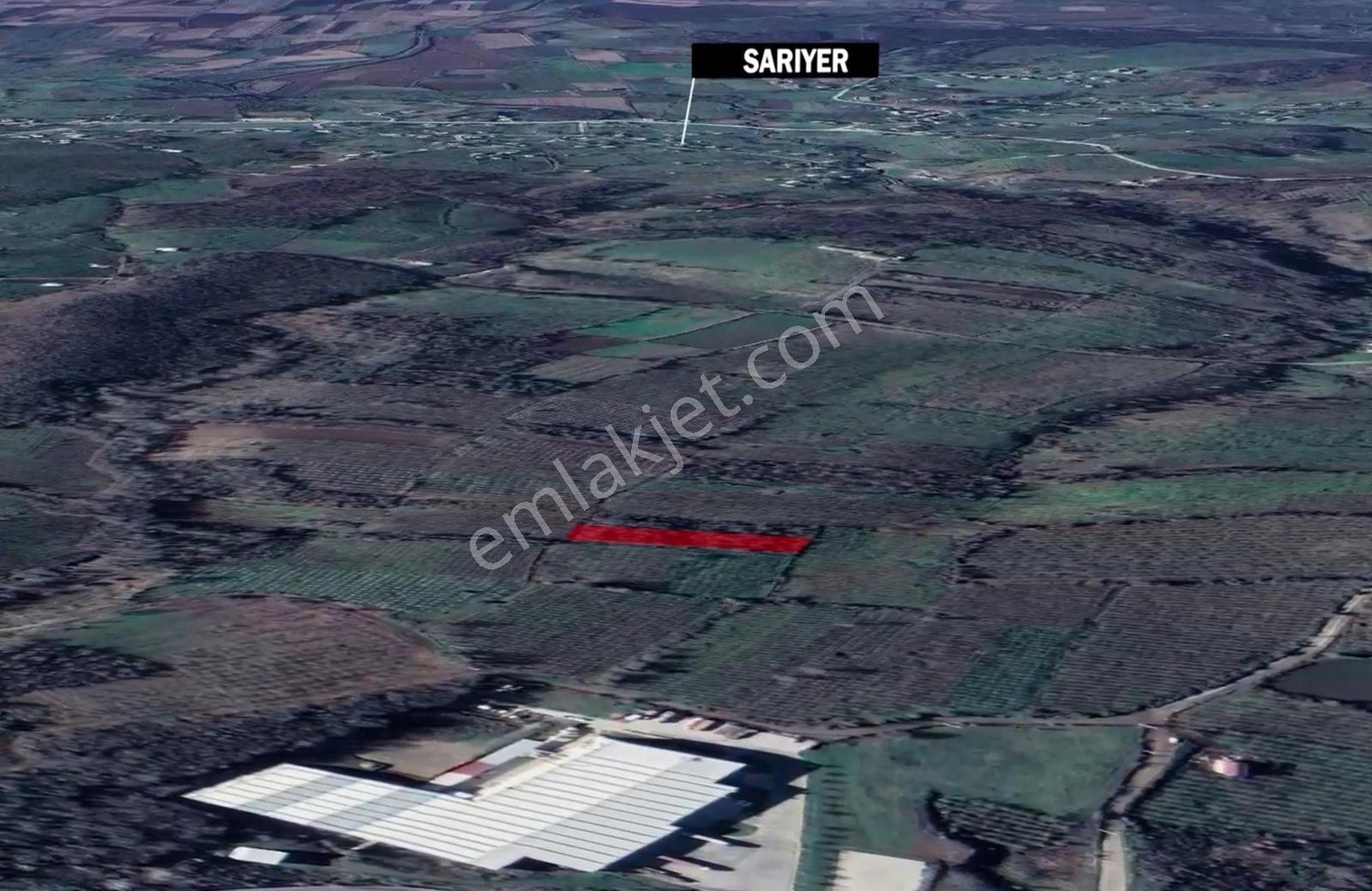 İkramiye De Yatırımlık Tarla 2 — fotoğraf 3