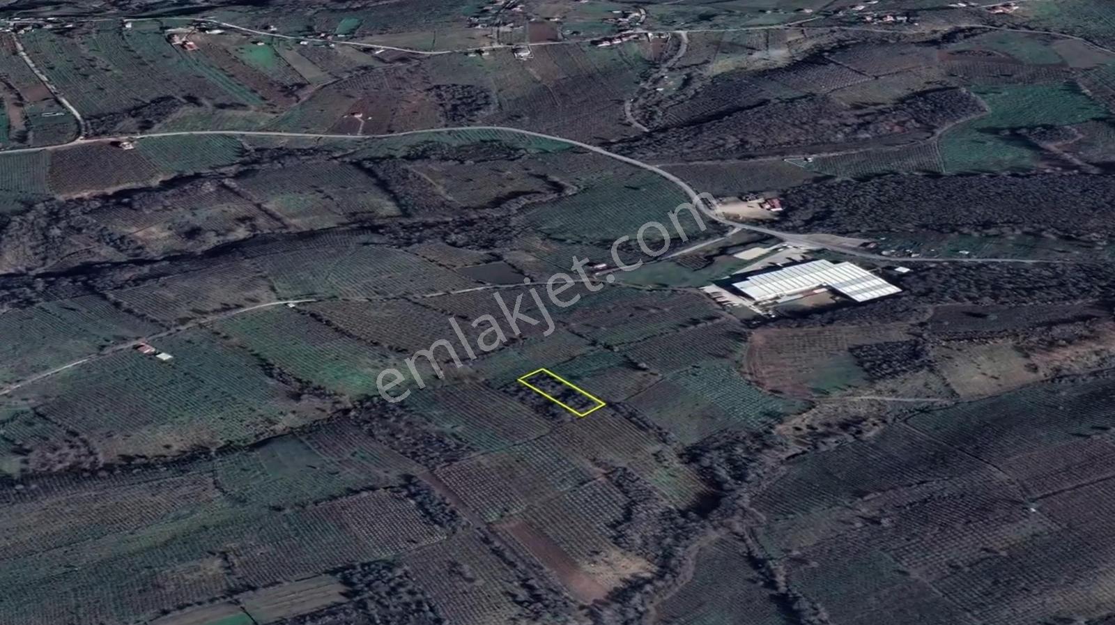 İkramiye De Yatırımlık Tarla 2 — fotoğraf 4