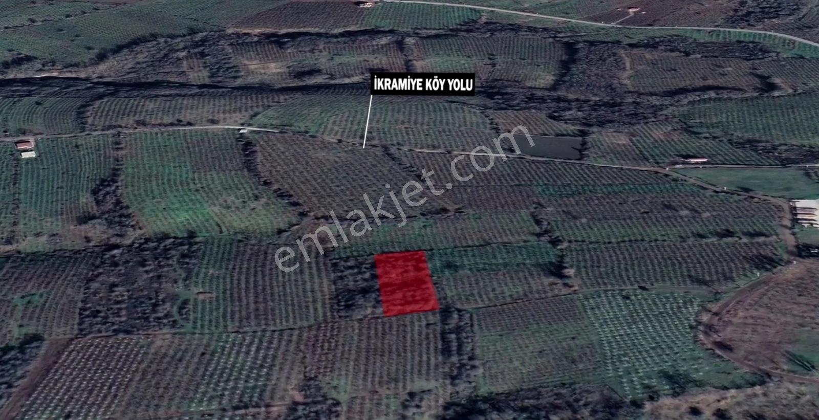 İkramiye De Yatırımlık Tarla 2 — fotoğraf 5
