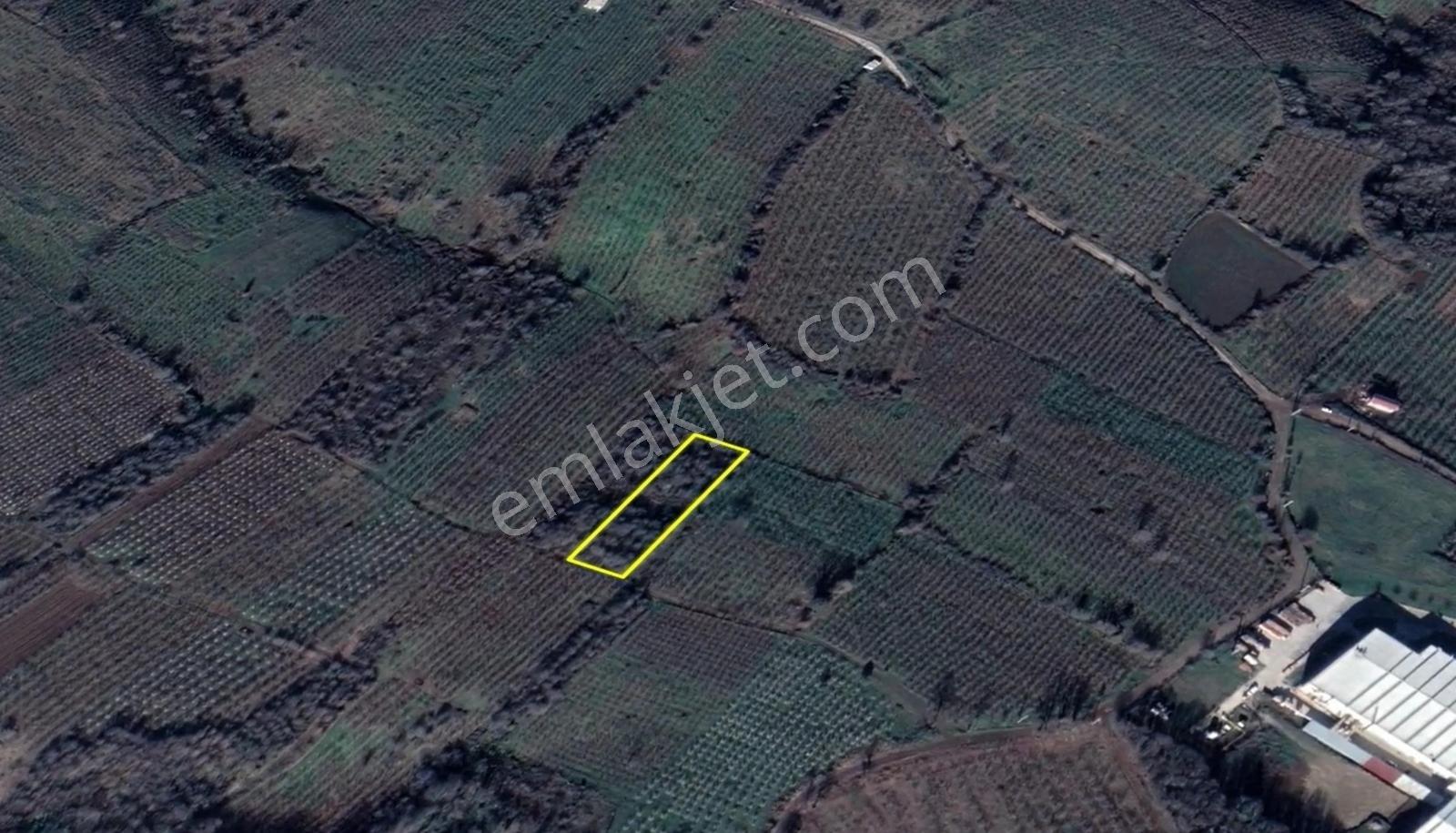 İkramiye De Yatırımlık Tarla 2 — fotoğraf 7