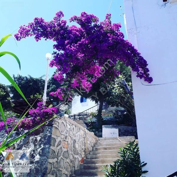 Akyarlar Bizimtepe Sitesinde 1+1 Satılık Tapulu Devremülk — fotoğraf 20