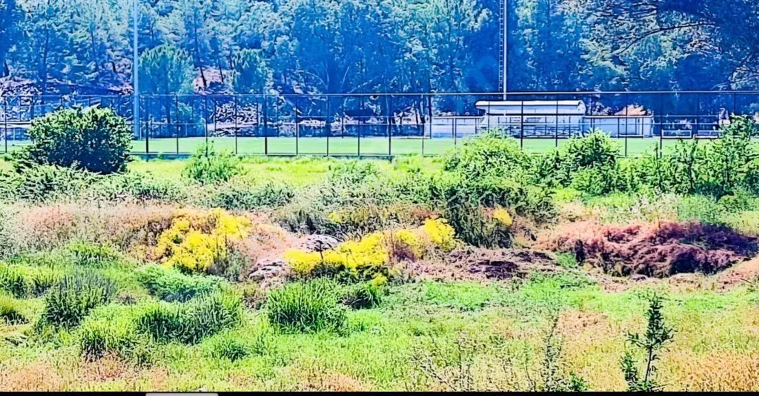 Muğla Köyceğiz Döğüşbelende 15.164 M² Kurugöl Tarla — fotoğraf 3