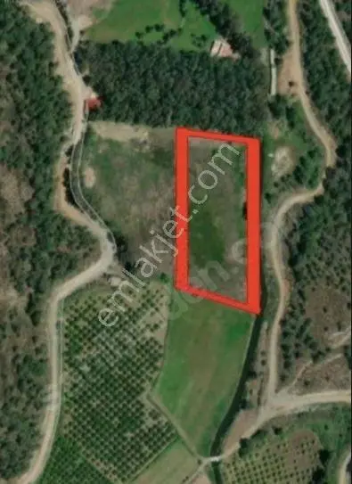 Muğla Köyceğiz Döğüşbelende 15.164 M² Kurugöl Tarla — fotoğraf 5