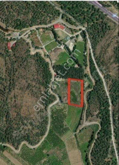 Muğla Köyceğiz Döğüşbelende 15.164 M² Kurugöl Tarla — fotoğraf 6