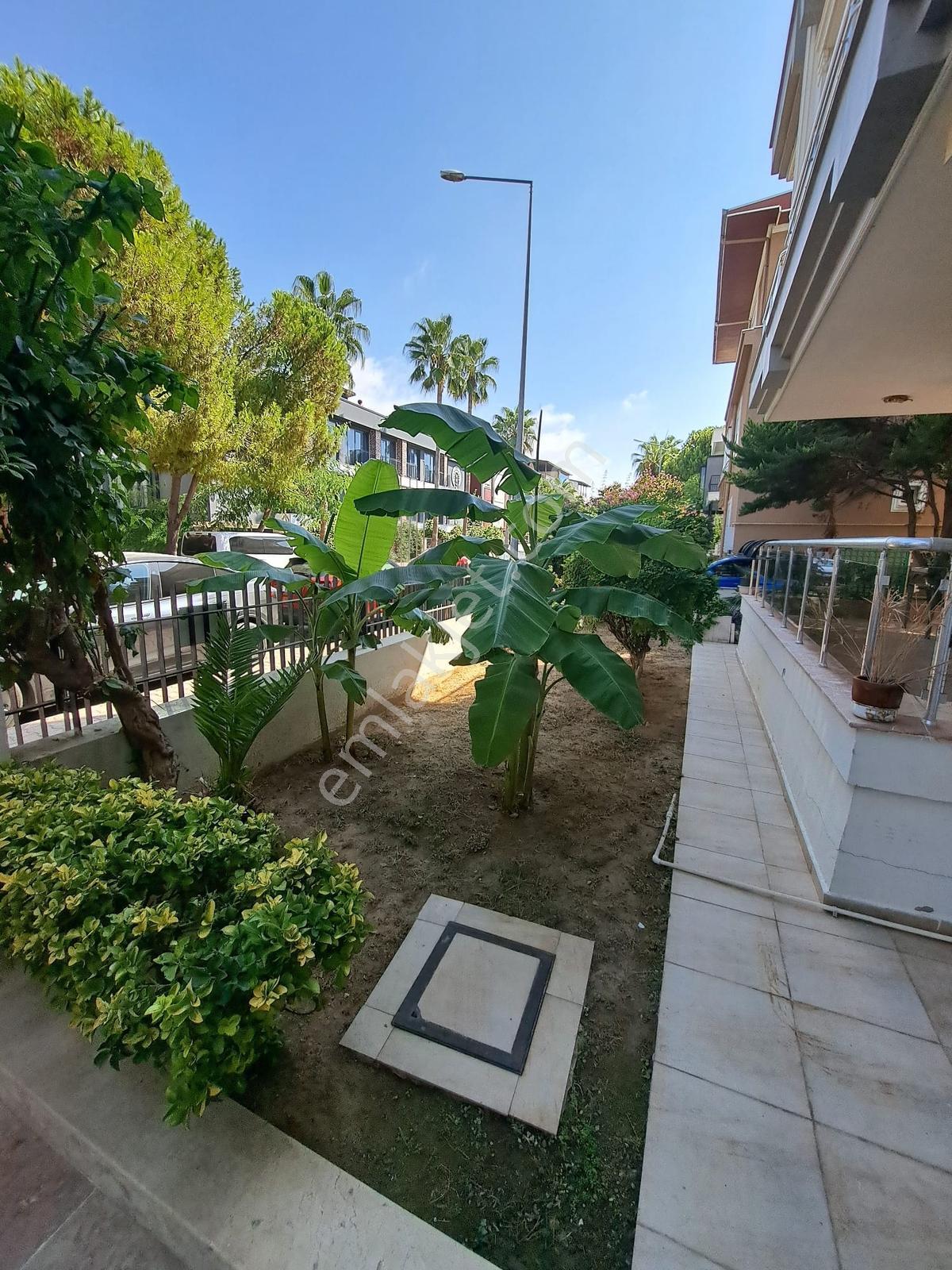 Sahil Yoluna 100 Metre - Barınaklar — fotoğraf 4