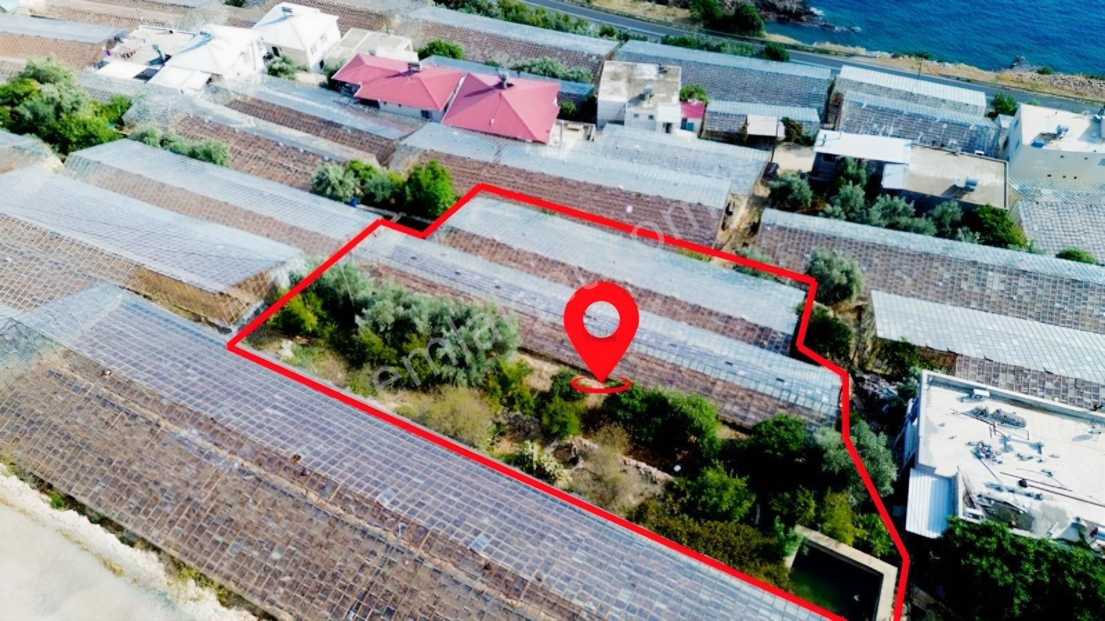 Karakuş Emlaktan Aydıncık Yenikaş'ta 1367 M² Cam Sera Ve Bahçe — fotoğraf 2