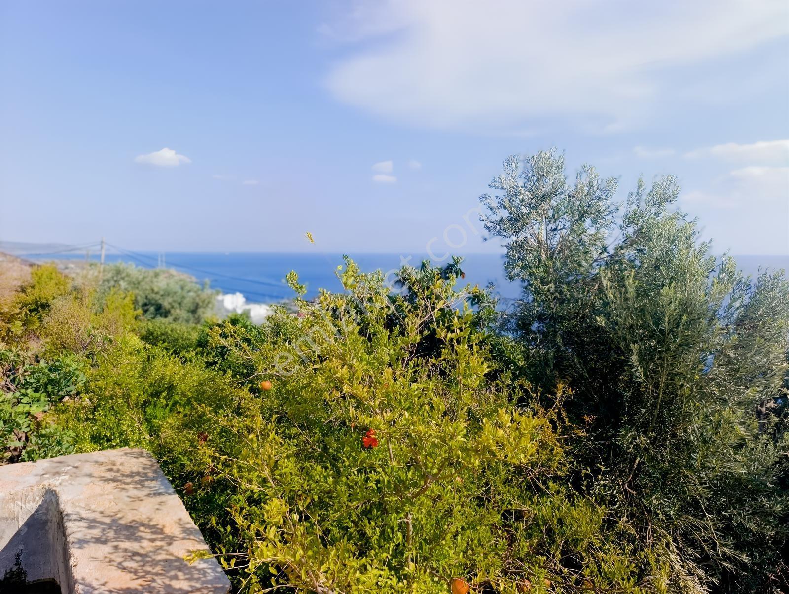 Karakuş Emlaktan Aydıncık Yenikaş'ta 1367 M² Cam Sera Ve Bahçe — fotoğraf 3