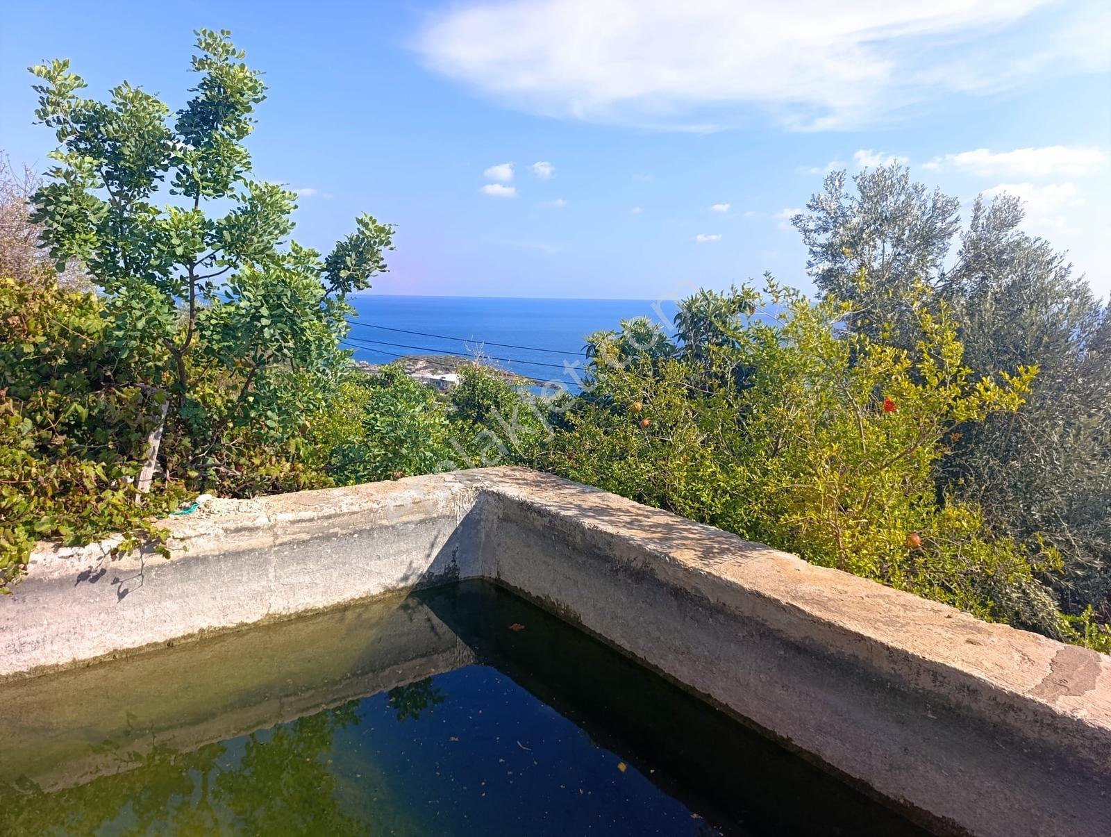 Karakuş Emlaktan Aydıncık Yenikaş'ta 1367 M² Cam Sera Ve Bahçe — fotoğraf 4