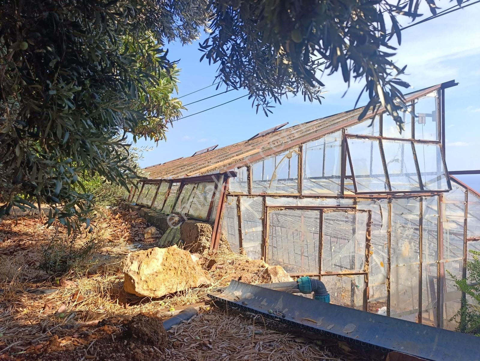 Karakuş Emlaktan Aydıncık Yenikaş'ta 1367 M² Cam Sera Ve Bahçe — fotoğraf 5