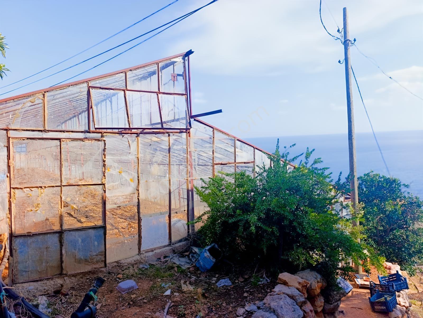 Karakuş Emlaktan Aydıncık Yenikaş'ta 1367 M² Cam Sera Ve Bahçe — fotoğraf 6