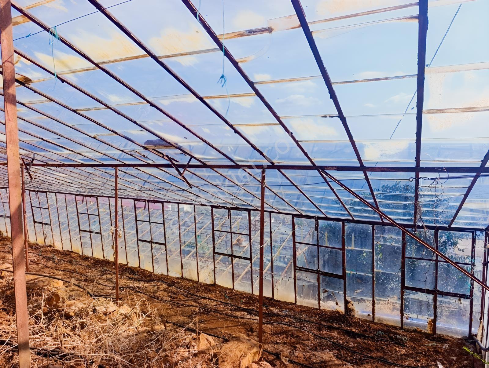 Karakuş Emlaktan Aydıncık Yenikaş'ta 1367 M² Cam Sera Ve Bahçe — fotoğraf 7