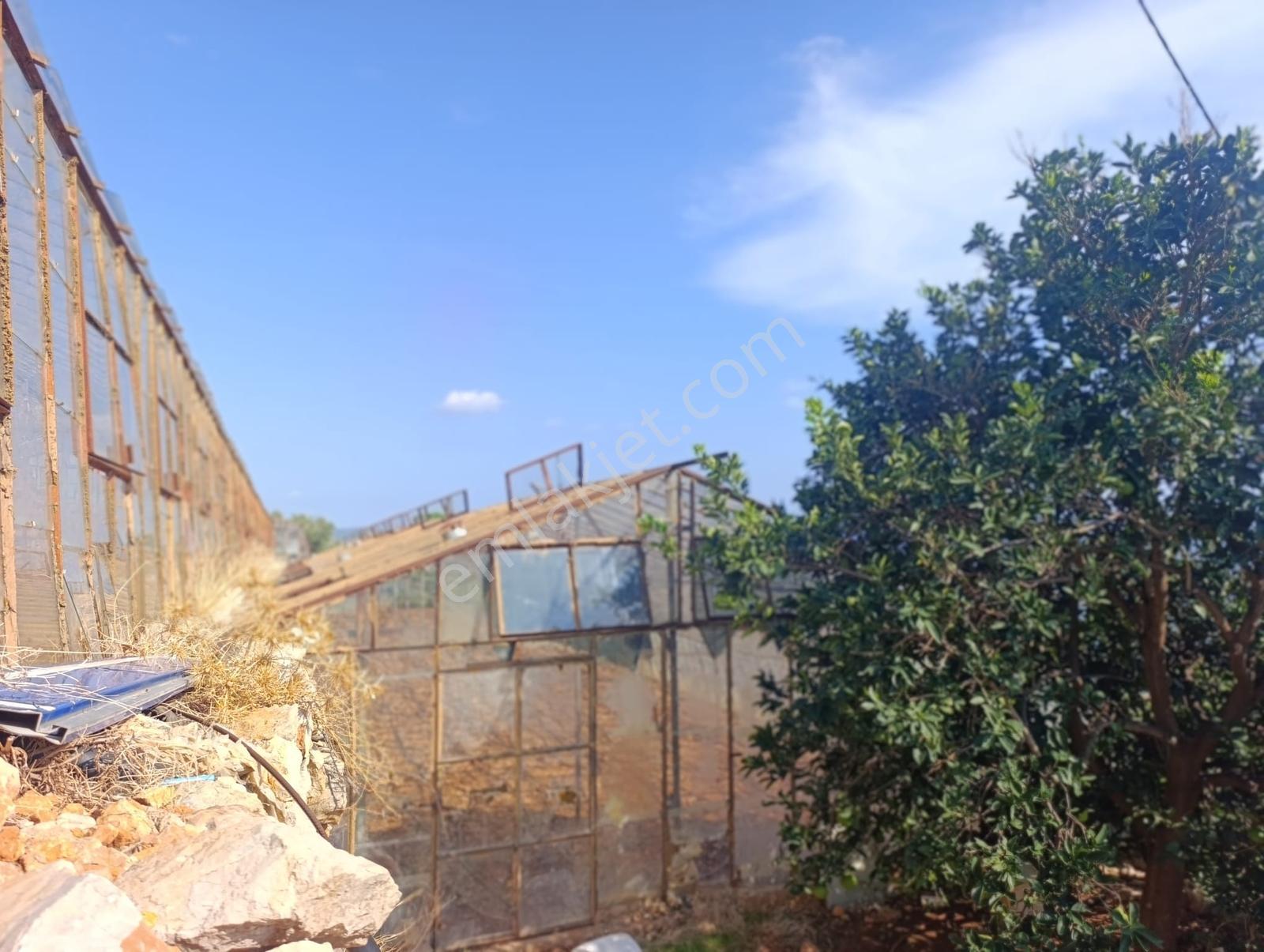 Karakuş Emlaktan Aydıncık Yenikaş'ta 1367 M² Cam Sera Ve Bahçe — fotoğraf 9