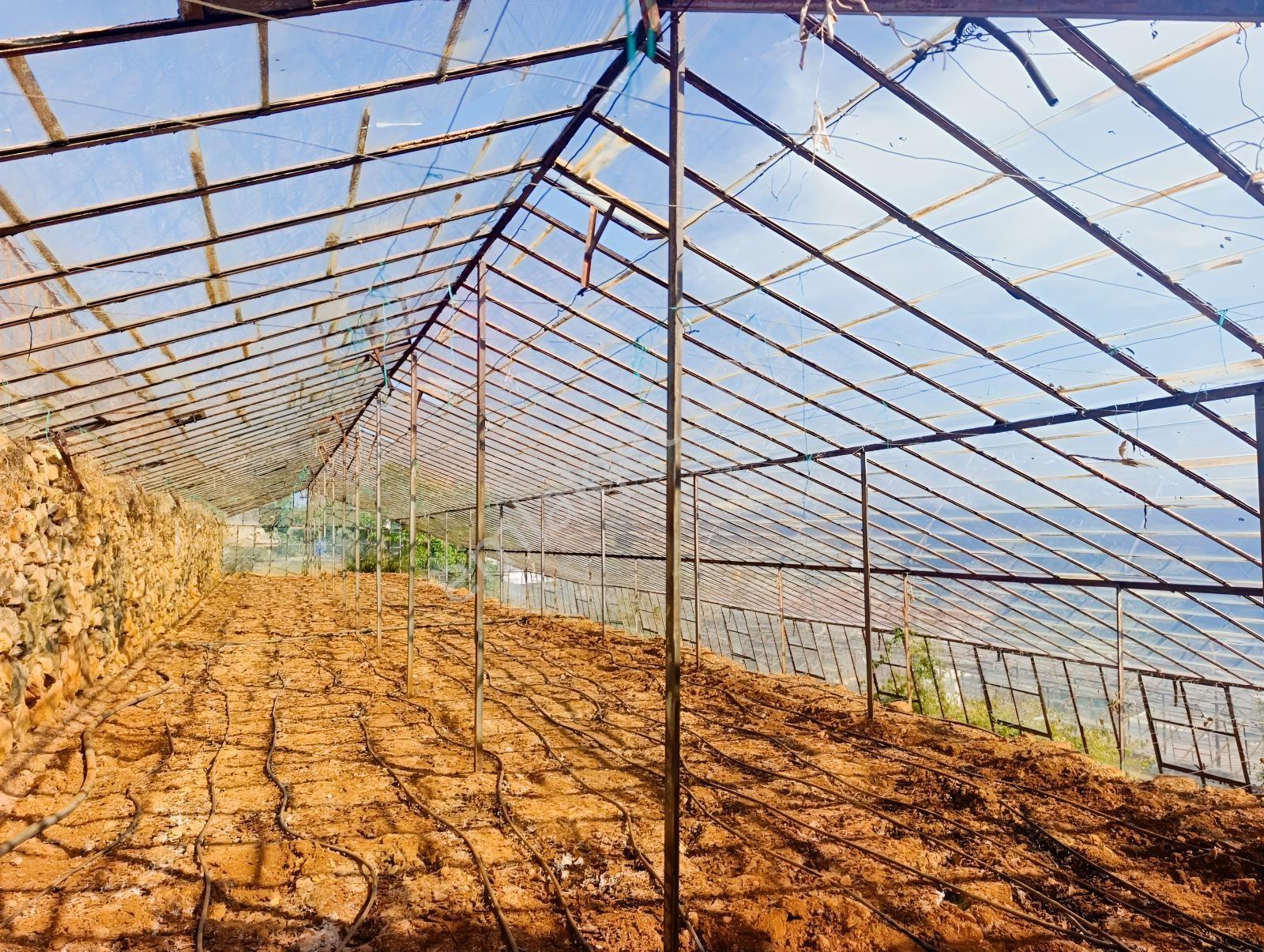 Karakuş Emlaktan Aydıncık Yenikaş'ta 1367 M² Cam Sera Ve Bahçe — fotoğraf 10