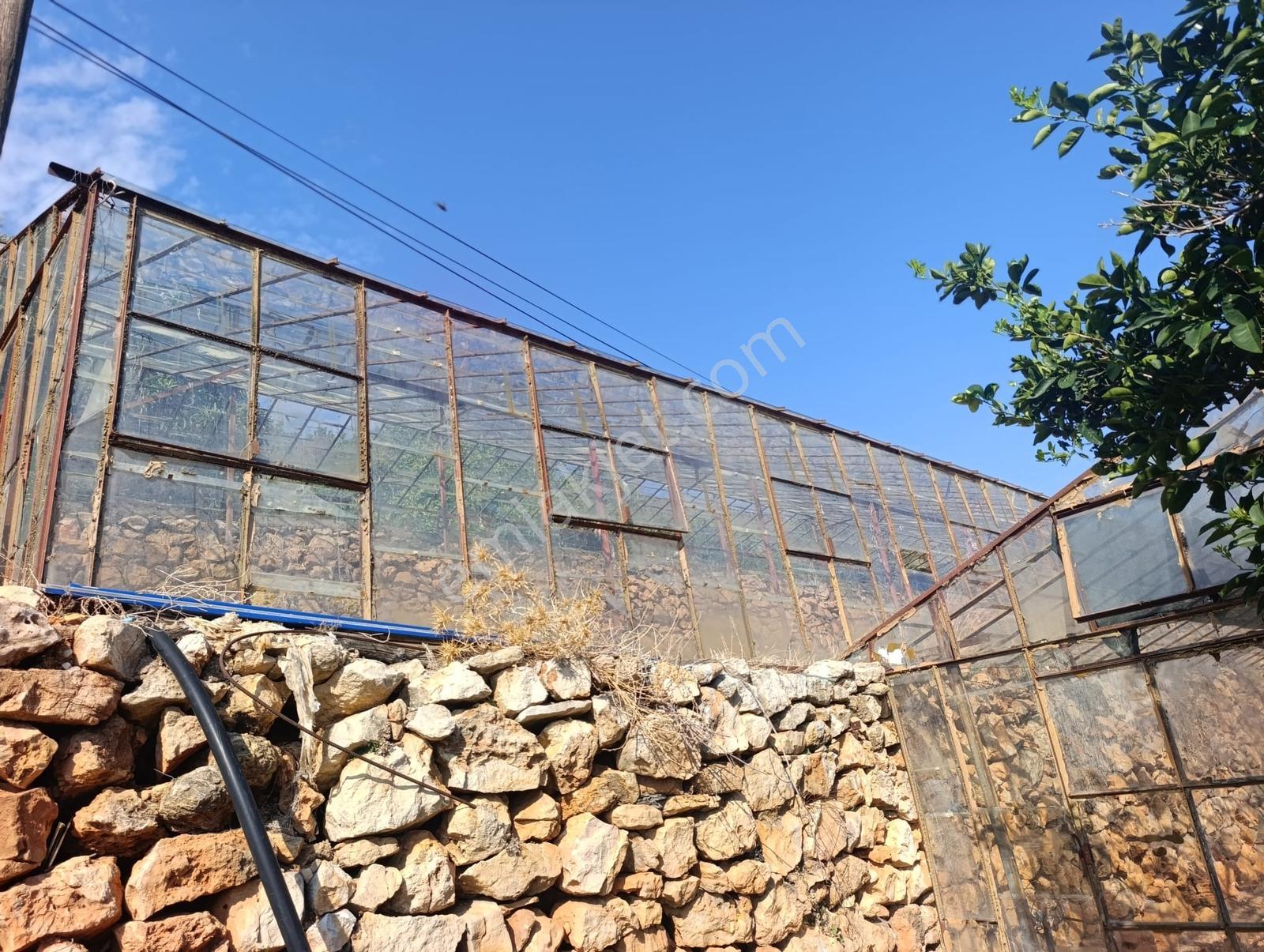 Karakuş Emlaktan Aydıncık Yenikaş'ta 1367 M² Cam Sera Ve Bahçe — fotoğraf 11