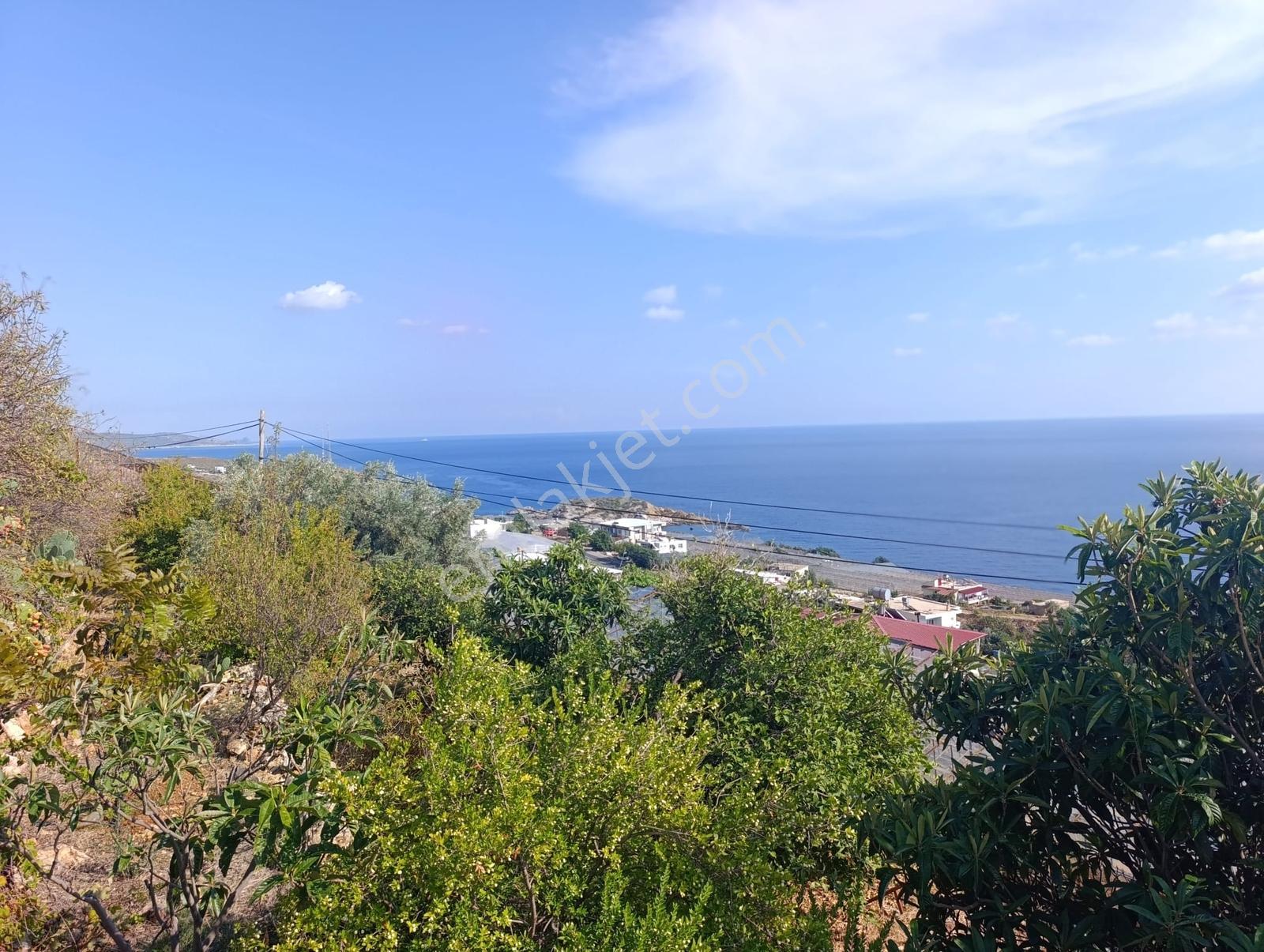 Karakuş Emlaktan Aydıncık Yenikaş'ta 1367 M² Cam Sera Ve Bahçe — fotoğraf 15