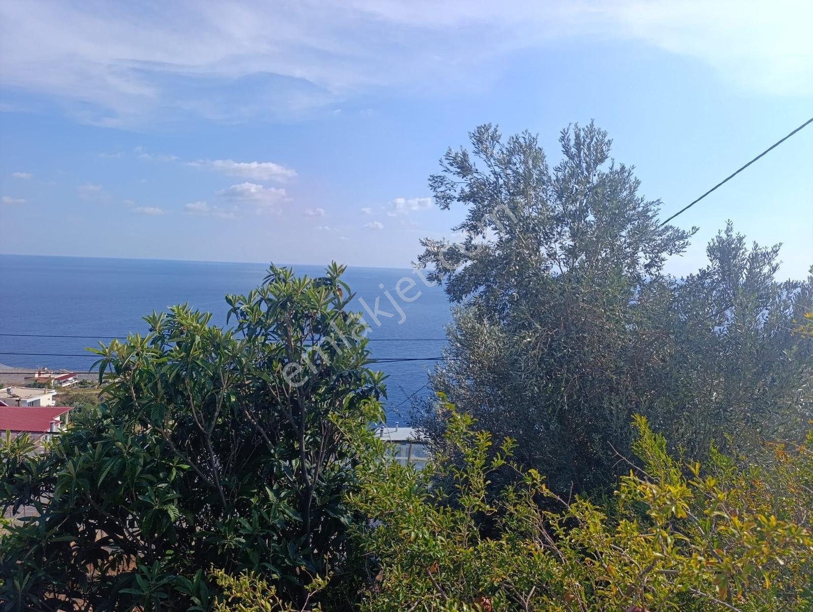 Karakuş Emlaktan Aydıncık Yenikaş'ta 1367 M² Cam Sera Ve Bahçe — fotoğraf 16