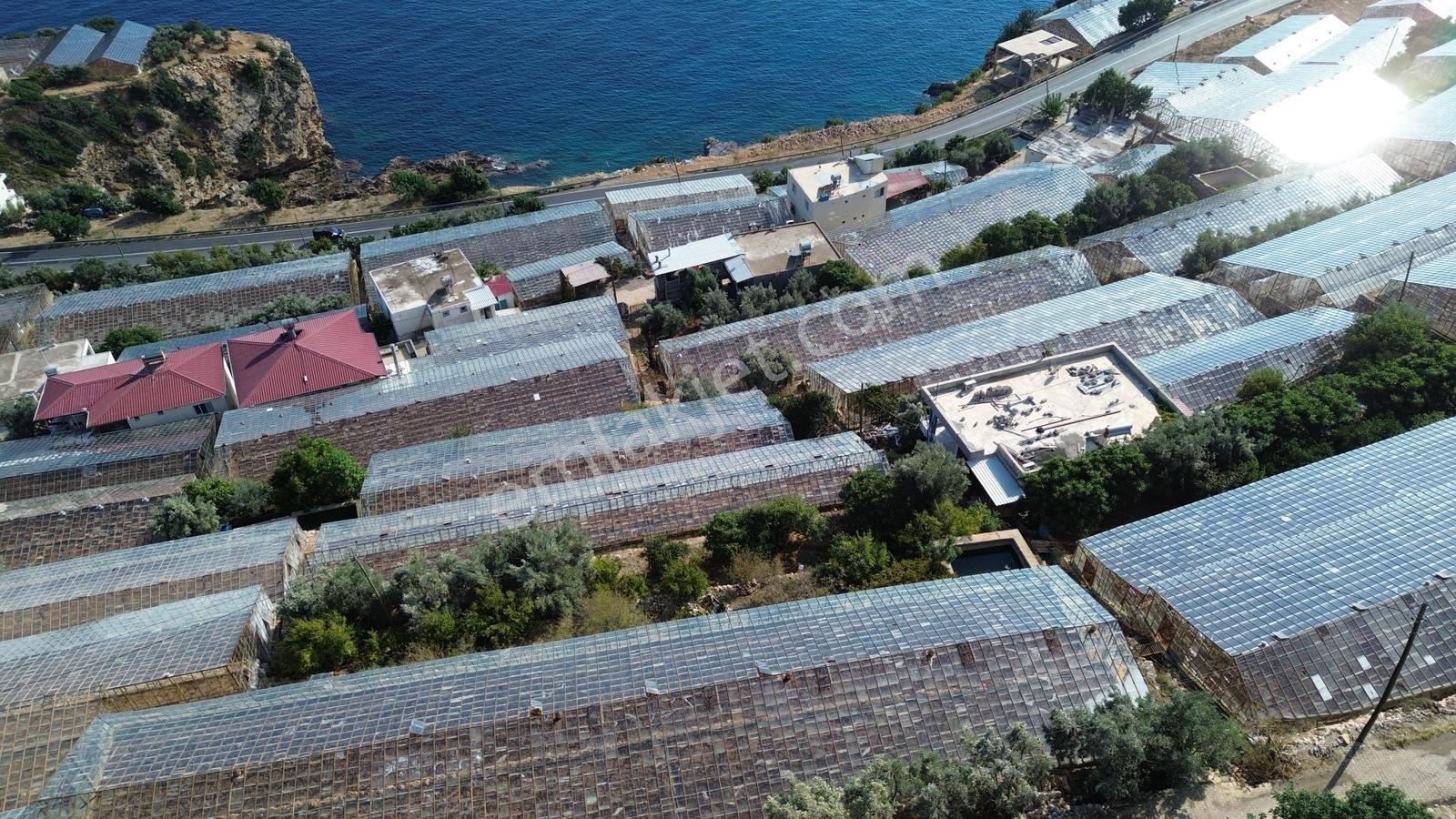 Karakuş Emlaktan Aydıncık Yenikaş'ta 1367 M² Cam Sera Ve Bahçe — fotoğraf 17
