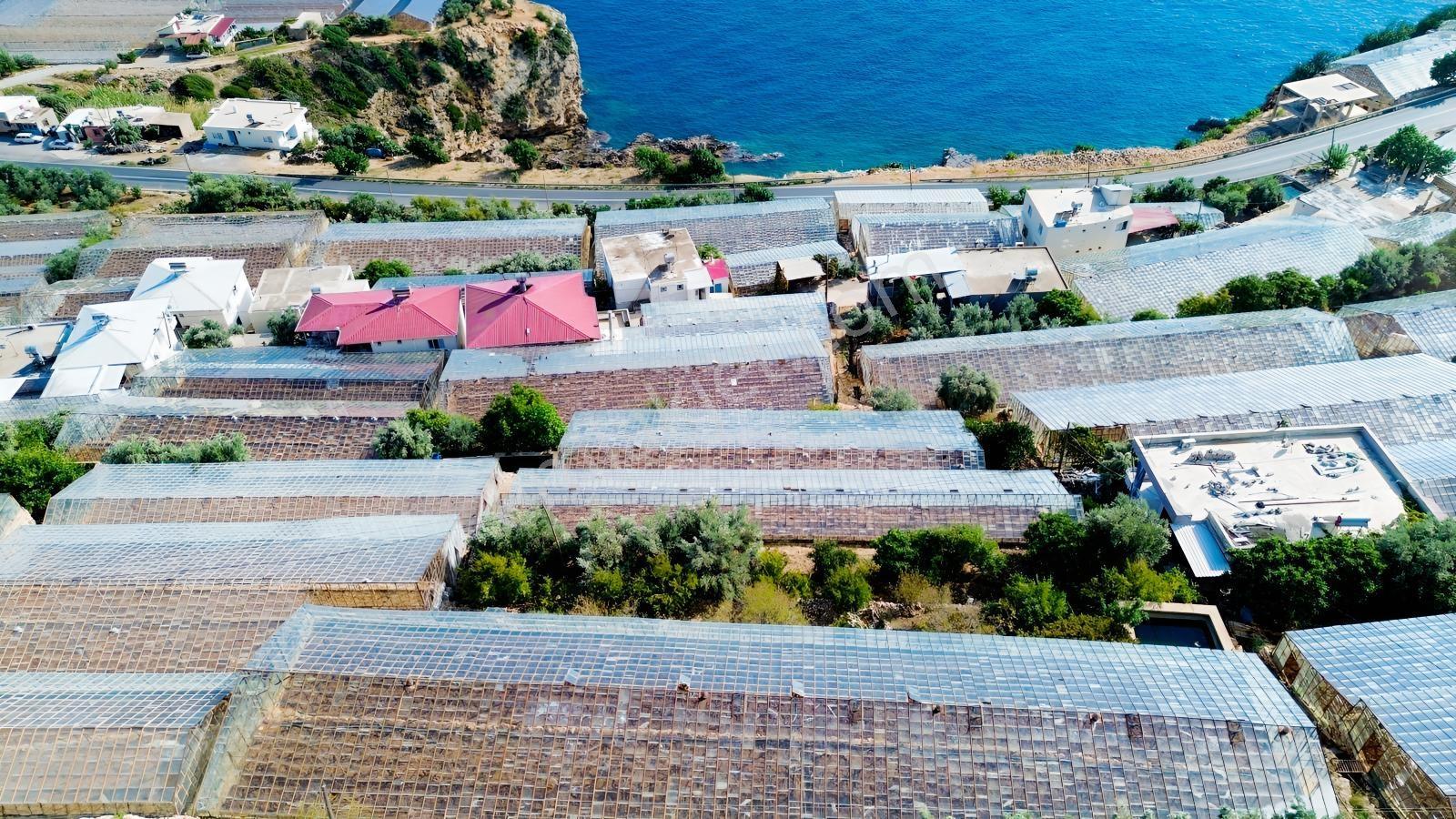 Karakuş Emlaktan Aydıncık Yenikaş'ta 1367 M² Cam Sera Ve Bahçe — fotoğraf 18