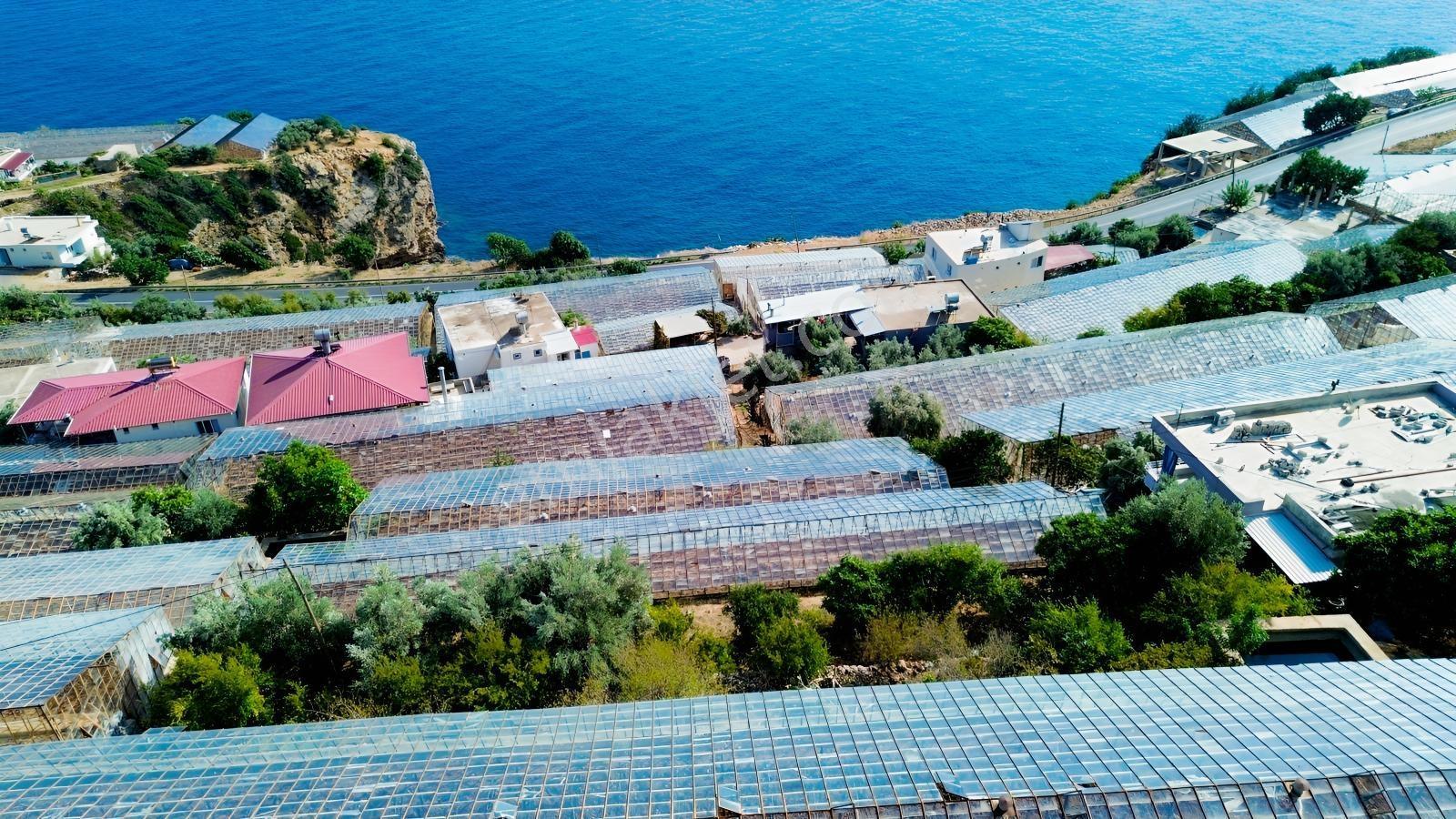 Karakuş Emlaktan Aydıncık Yenikaş'ta 1367 M² Cam Sera Ve Bahçe — fotoğraf 20