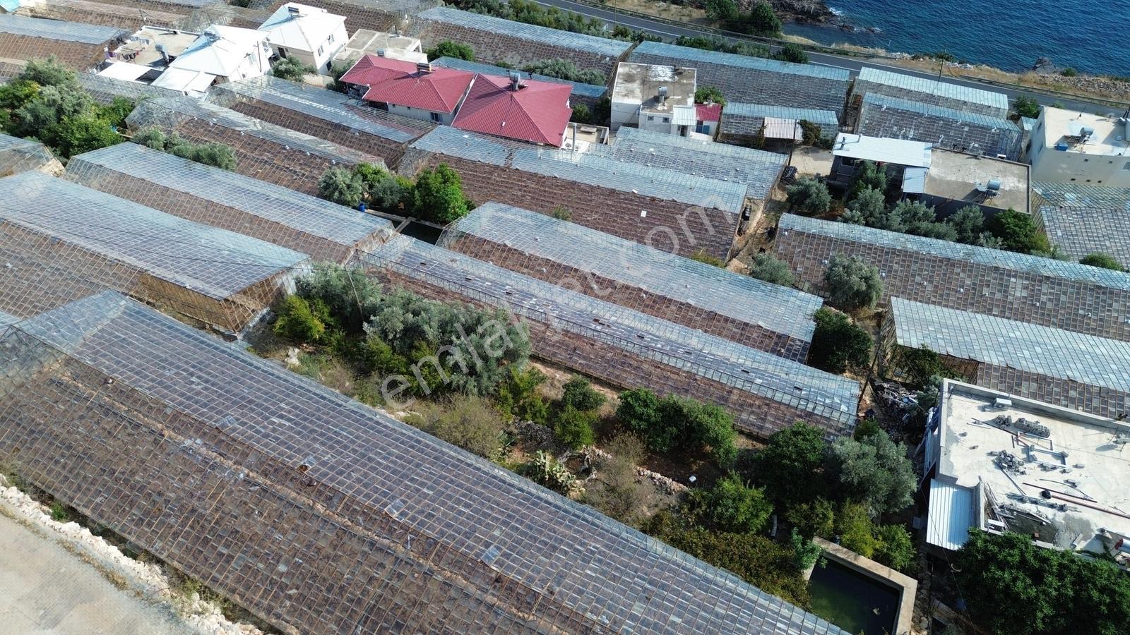 Karakuş Emlaktan Aydıncık Yenikaş'ta 1367 M² Cam Sera Ve Bahçe — fotoğraf 21