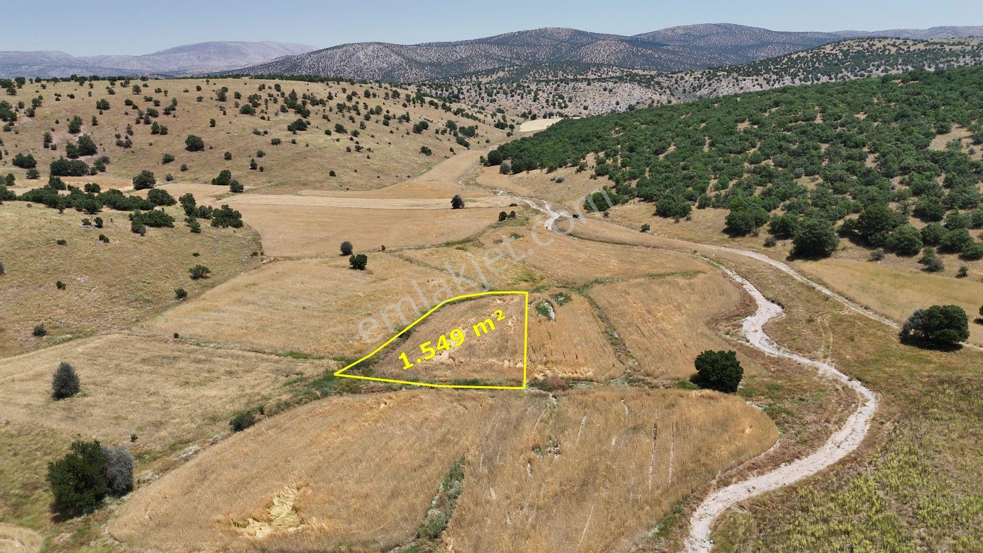 Meram Kilistra Mahallesi'Nde Satılık 1549 M² Tarla