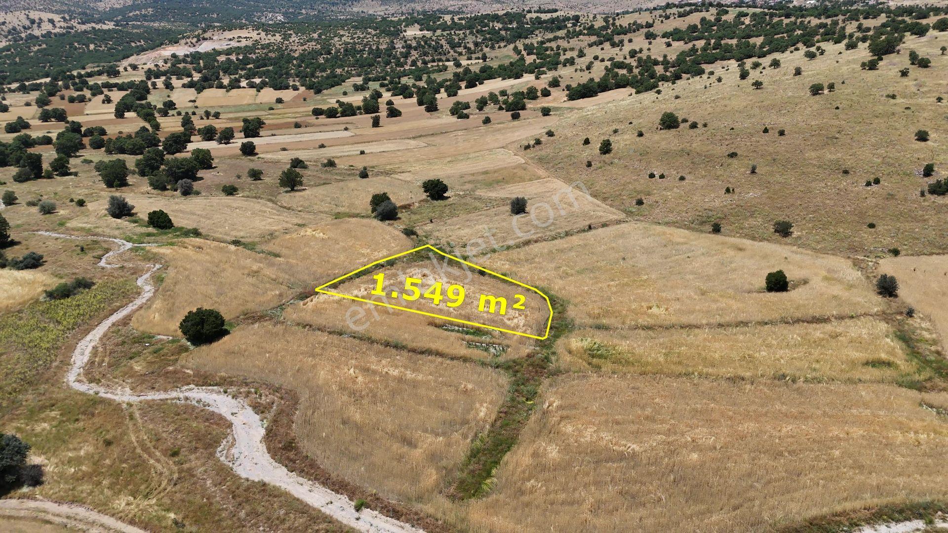 Meram Kilistra Mahallesi'nde Satılık 1549 M² Tarla — fotoğraf 2